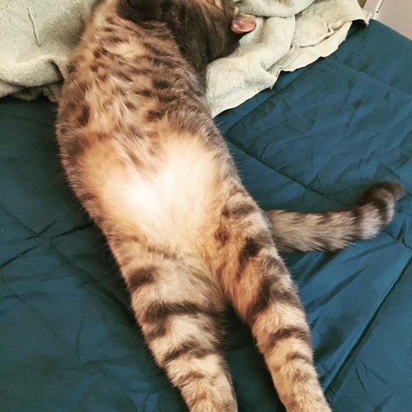 Meet your Posher, Roxanne - Picture 11 of 15